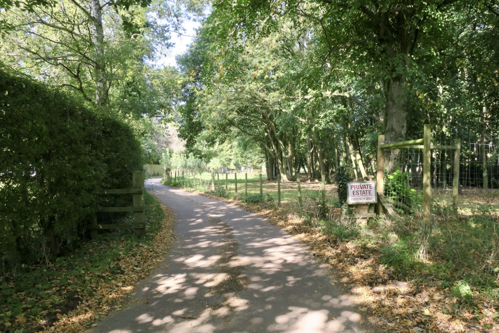 forgotten fields path behind treee