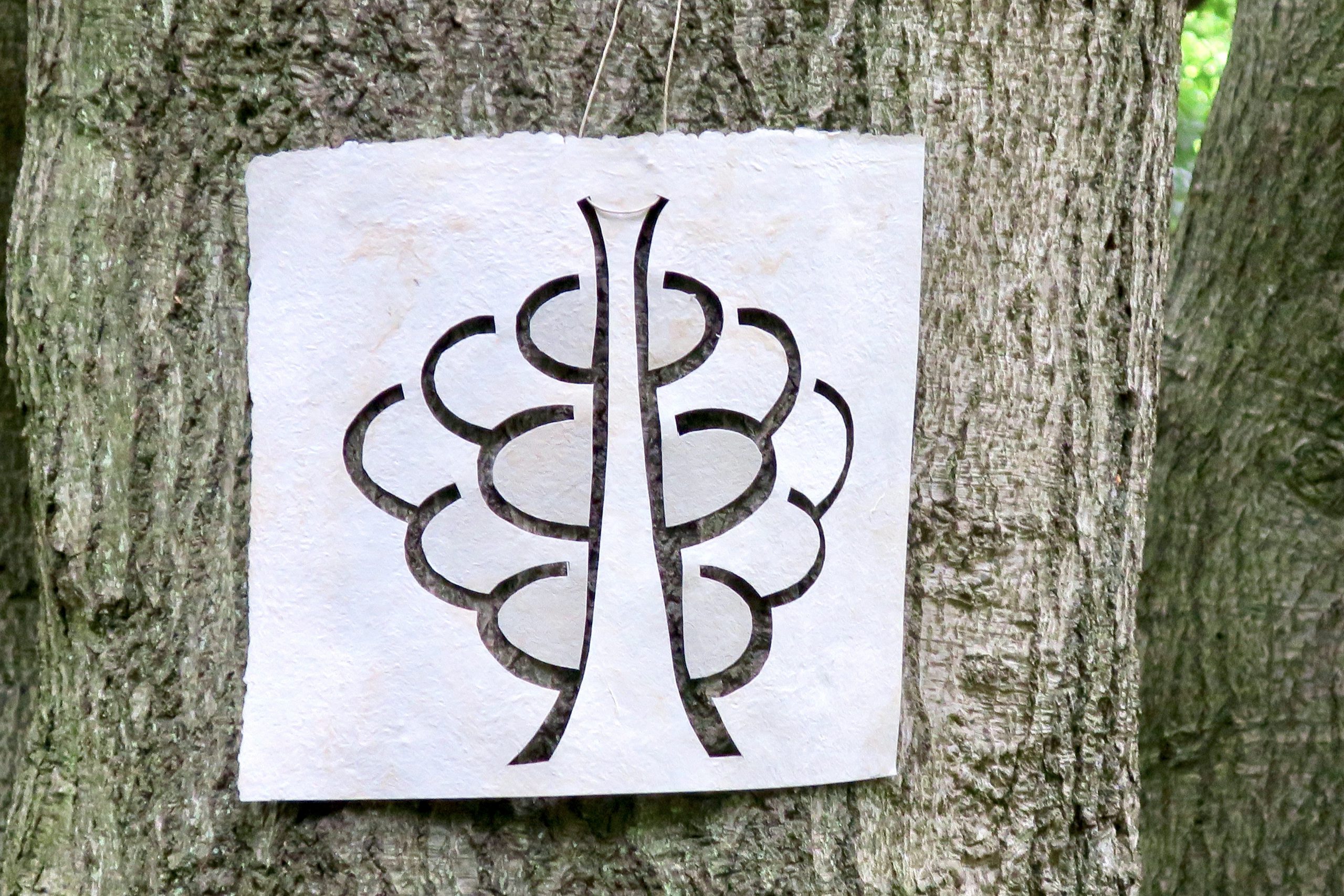 Discover more than 122 arbutus tree tattoo