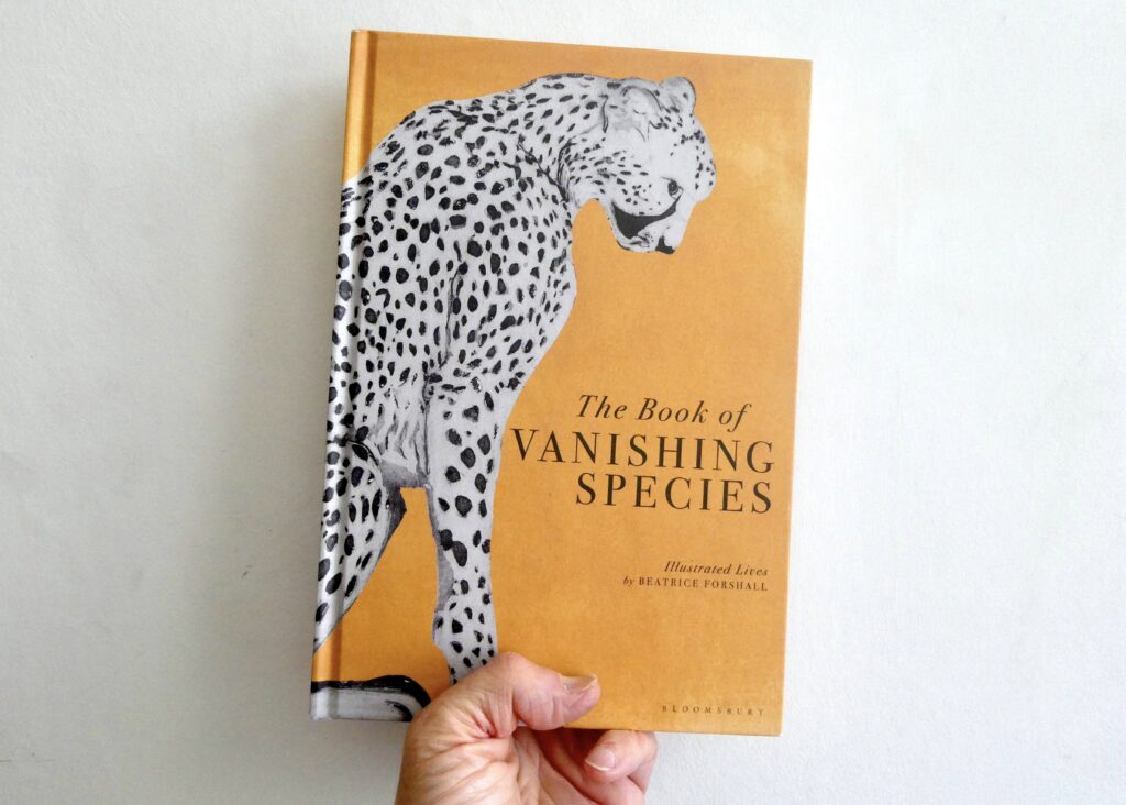 The Book Of Vanishing Species Frames of Reference